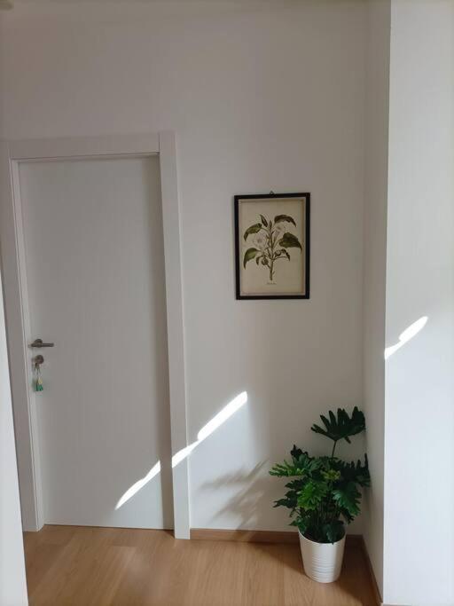 Loving My Rooms 1 - Deliziosa Mansarda In Centro Gorizia Kültér fotó